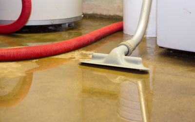 The Hidden Costs of Poor Drainage: How Gutters Affect Your Foundation