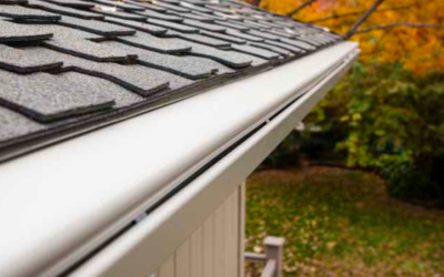Gutter Protection for Tree-Heavy Homes: What Works Best